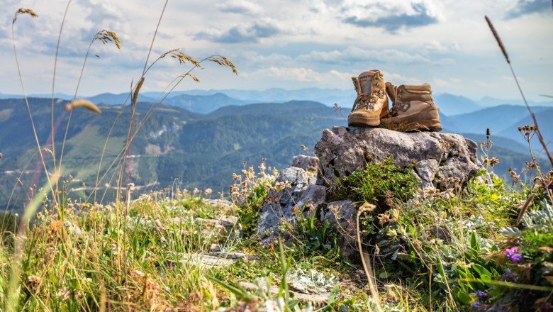 Bergsommer, © Ötscherlifte/Ludwig Fahrnberger Wanderschuhe auf einem Felsen in einer Berglandschaft.
