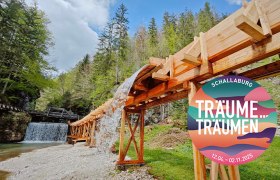 Holzrinne im Mendlingtal mit Wasserfall und Wald im Hintergrund.
