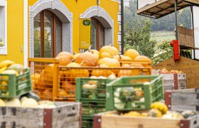 Bunte Kürbisse vor einem gelben Gebäude mit dekorativen Fensterrahmen.