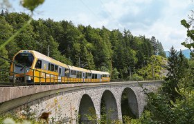Ein gelber Zug der Mariazellerbahn fährt über eine Steinbrücke in einer bewaldeten Landschaft.