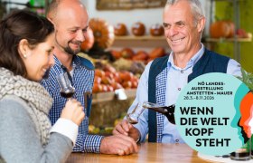 Drei Personen verkosten Wein in einem Marktstand mit Kürbissen im Hintergrund.