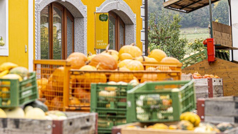 Bunte Kürbisse vor einem gelben Gebäude mit dekorativen Fensterrahmen.